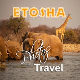 photosNtravel - Etosha, Wildife of the Kalahari - May, 2020