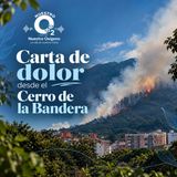 NUESTRO OXÍGENO Carta de dolor desde el cerro de la bandera – Paula Arellano