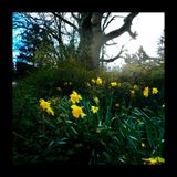 King's Pond Revisited
