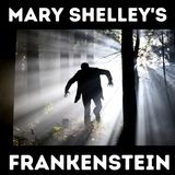The Letters - Frankenstein - Mary Shelley