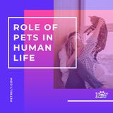Role of the Pets in Human Life