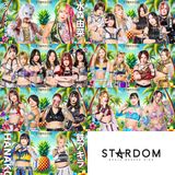STARDOM Golden Week Fight Tour 2025 in KUMAMOTO, SENDAI & FUKUOKA Pre-Shows