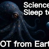 Episode 6 - Our Alien Neighbors_ A Deep Dive into the Octopus - Science to Sleep and Relax to