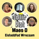 Maes D - Eisteddfod Wrecsam 2025