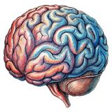 A TÉCNICA DO REDUCIONISMO COGNITIVO (T13:E23) feat. Um Episódio Bem Analítico 🤯