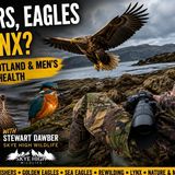 Otters in the Wild: A Skye High Wildlife Special