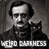 He Walled Up His Wife's Corpse. But Something Else Was Trapped Inside With Her | The Black Cat