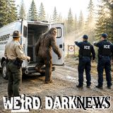 Eight Sightings in Five Days: The Ohio Bigfoot Flap of 2026 | #WeirdDarkNEWS