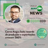 Liberado o plantio do algodão em Goiás após vazio sanitário