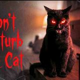 DON_T DISTURB THE CAT _ Horror Short Film(MP3_160K)