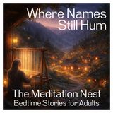 Bedtime Story for Deep Sleep | Where Names Still Hum