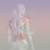 Chronic Pain 101: When Pain Persists — Nervous System