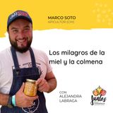 Ep. 076 - Los milagros de la miel y la colmena con Marco Soto