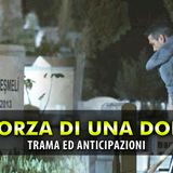 La Forza Di Una Donna Anticipazioni Turche: Sarp Crede Che La Sua Famiglia Sia Morta!