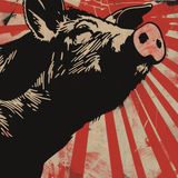 Animal Farm by George Orwell