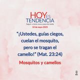 Mosquitos y camellos ~ Devocional de Jóvenes ~ 10 de mayo 2025