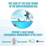 The case of the Blue Shark in the Mediterranean Sea. Episode 3: Blue shark, sustainable management after 2023?