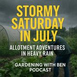 🎧 🌧️ Stormy Saturday in July | Allotment Adventures in Heavy Rain