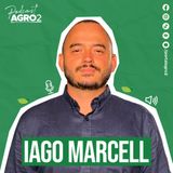 Como a oferta e a demanda influenciam o preço da goiaba? #410