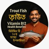 EP-84 | Trout Fish Power: Vitamin B12 & Wellness Boost | ট্রাউট মাছ: ভিটামিন বি১২ ও সুস্থতার রহস্য | Bengali Welness Podcast
