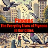 Pigeons: The Everyday Lives of Pigeons in Our Cities