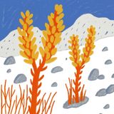 Cistanche Tubulosa: The Ancient "Superior Herb" for Testosterone and Brain Power