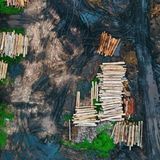 La deforestazione ha reso il Sud-Est asiatico una fonte netta di carbonio