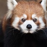 The Wanders of the Lands