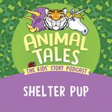Shelter Pup