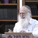 מלחמות ישראל בכלל, והמלחמה הנוכחית בפרט | בנחת רוח | הרב דב ביגון