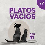 Sunny | Un gato que todavía despeina el aire