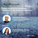 #8 Cómo afectan los inviernos extremos a los cultivos españoles. Casos reales.