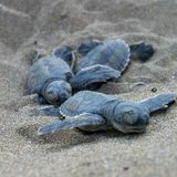 Sky News Radio Podcast - Thursday 27th July 2017