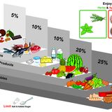 Gruppi alimentari e nutrizione sportiva