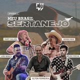 Meu Brasil Sertanejo: as transformações da música sertaneja