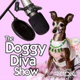 The Doggy Diva Show - Episode 183 Holiday Gifts for Pets and Pet Lovers