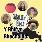 Y Rhifyn Rhechaidd