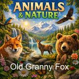 Old Granny Fox - Thornton W Burgess