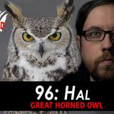 96 - Hal the Horned Owl