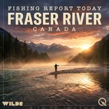 Fraser River April 12: Steelhead Rising, Tides and Beads Your Best Bet