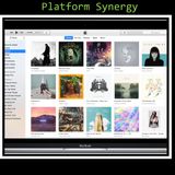 Platform Synergy