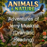 Adventures of Jerry Muskrat Dramatic Reading - Thornton W Burgess