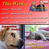 Radio 2SM Breakfast Segment #12 with Kaye Browne