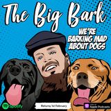 The Big Bark Dog Podcast #28 A conversation about fear free & Force free Grooming with Dani Brady of Suds & Paws
