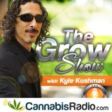 Marijuana Legalization and the Future of Cannabis Culture