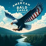 Bald Eagles- A Conservation Success Story