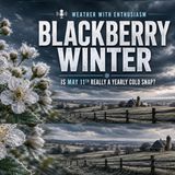 Passionate Delivery- 5-6-26- next 7 days analysis including blackberry Winter