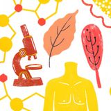 Pesticides and Your Microbiome: The Hidden Link to Diabetes
