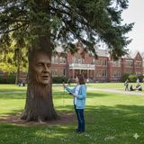 Intervista all’Abete del Caucaso