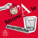 Investire nella sostenibilità ambientale sta distruggendo l’economia?